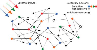 Simulations of working memory spiking networks driven by short-term plasticity